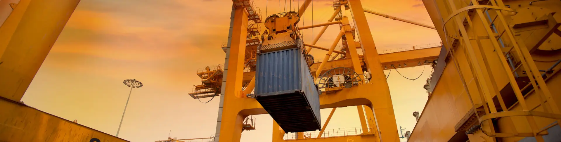 Project Cargo